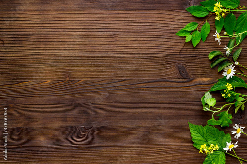 Medicine wild herbs and flowers top view