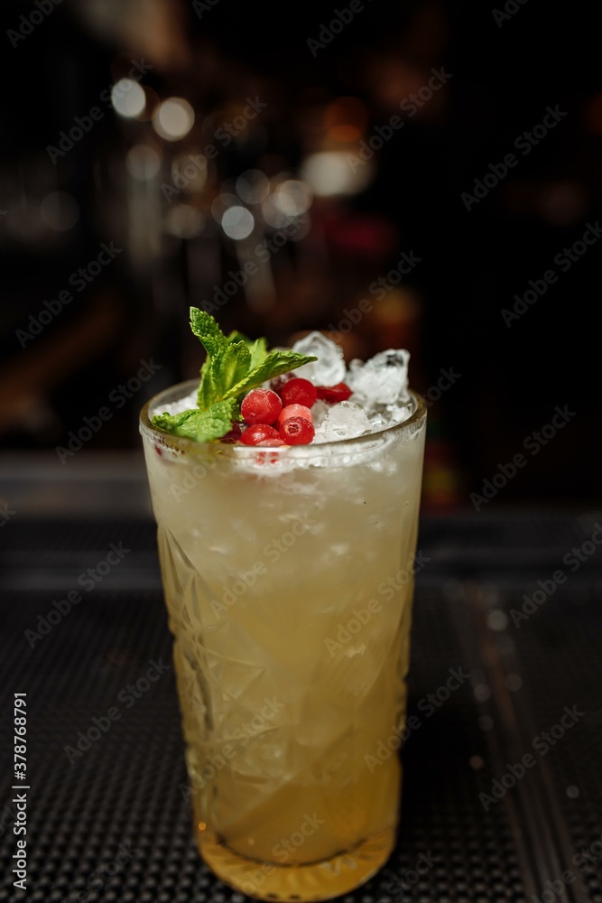 Summer lemonade with cranberries and orange garnished with mint on the bar Summer lemonade with cranberries and orange garnished with mint on the bar