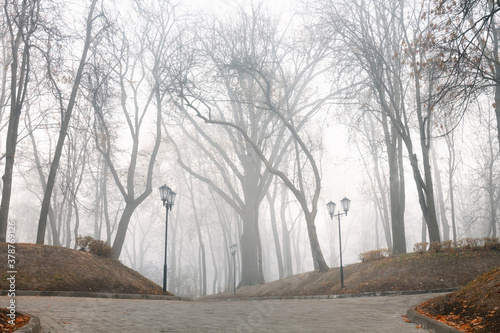 Cozy alley in a city foggy park in the fall. Gomel, Belarus