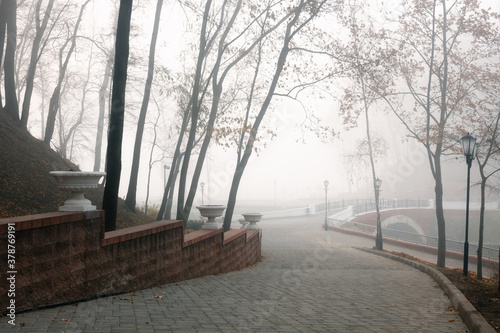 Wallpaper Mural Cozy alley in a city foggy park in the fall. Gomel, Belarus Torontodigital.ca