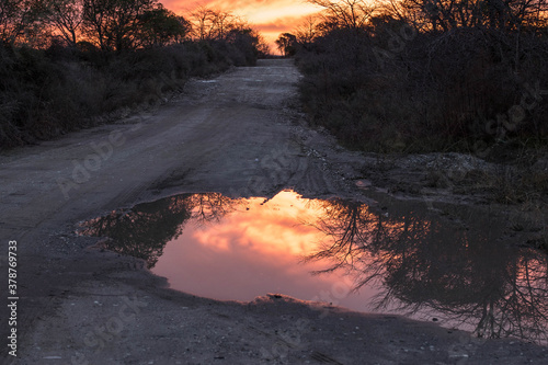 sunset reflected in a puddle