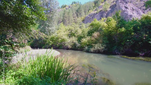 Amazing shot of a beautiful river in a green landscape
