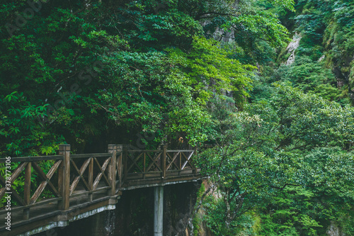 Wooden path on side of cliff among trees on Wugong Mountain in Jiangxi  China