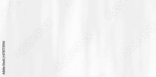 Abstract Shadow. blurred background. gray leaves that reflect concrete walls on a white wall surface for blurred backgrounds and monochrome wallpapers
