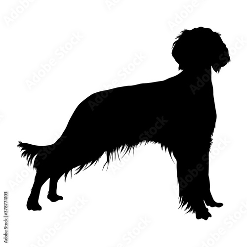 Standing Irish Setters On a Side View Silhouette Found In Ireland. Good To Use For Element Print Book, Animal Book and Animal Content
