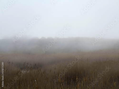 Beautiful rustic authentic landscape. Mist over the lake overgrown with reeds and grass