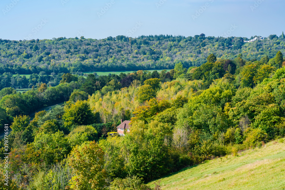 North Downs in Surrey, UK