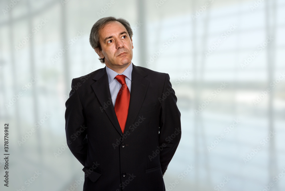 mature business man portrait mature business man portrait