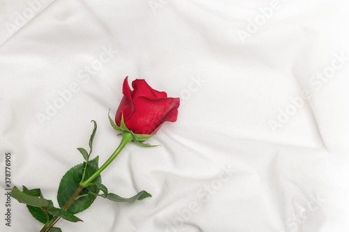 Fototapeta Naklejka Na Ścianę i Meble -  Red rose on white bed sheet. Romantic concept. Top view with copy space