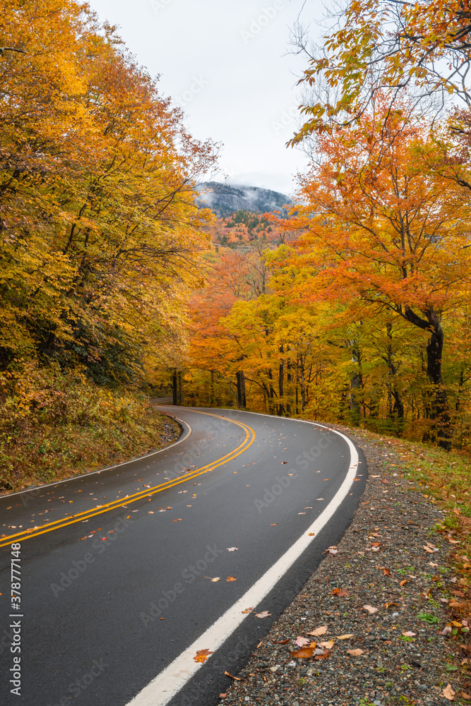 A vertical photograph of a two-lane road winding through the smoky mountains of North Carolina with fall colors of orange and red, green, yellow and brown on both sides of the road slightly overcast
A vertical photograph of a two-lane road winding through the smoky mountains of North Carolina with fall colors of orange and red, green, yellow and brown on both sides of the road slightly overcast