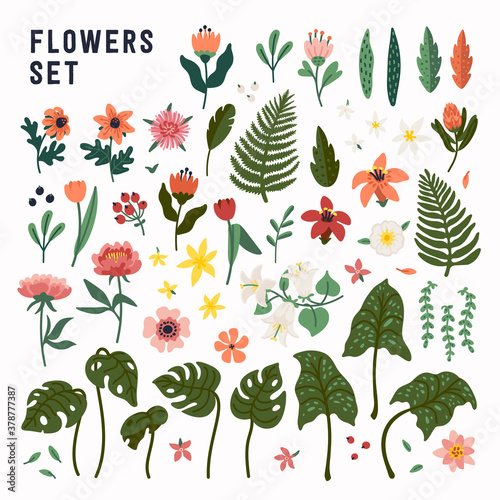 Flower set. Collection of wild and garden blooming flowers, decorative floral...