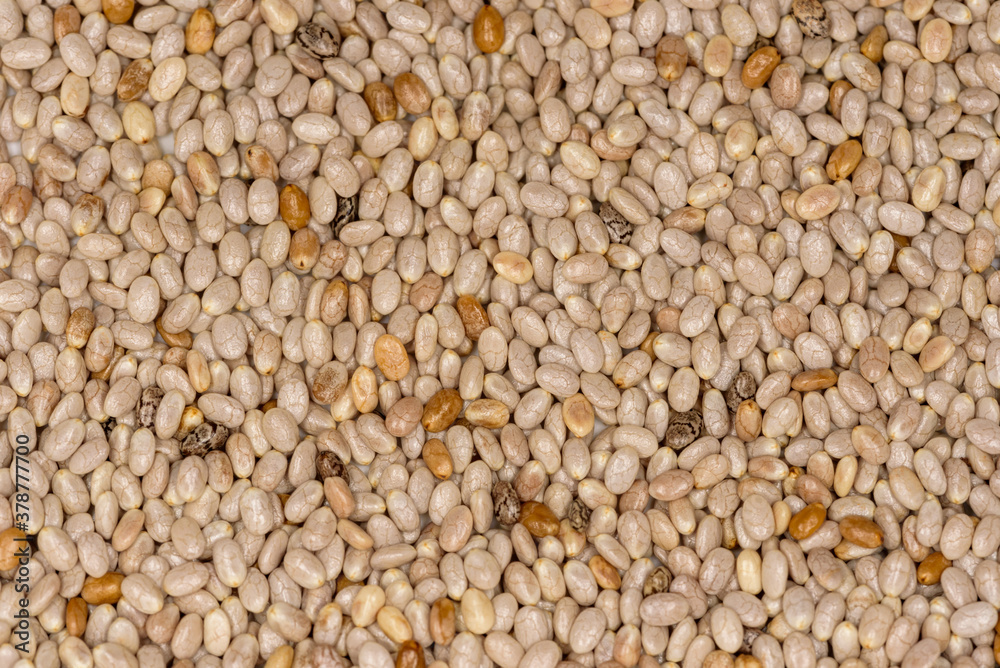 Close up of white chia seeds Close up of white chia seeds
