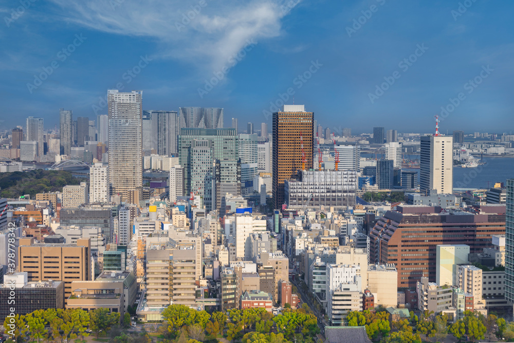 Tokyo Skyline, japan city cityscape at twilight, Tokyo is the world's most populous metropolis.