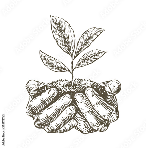 Hands holding handful of earth with growing plant. Ecology or business concept