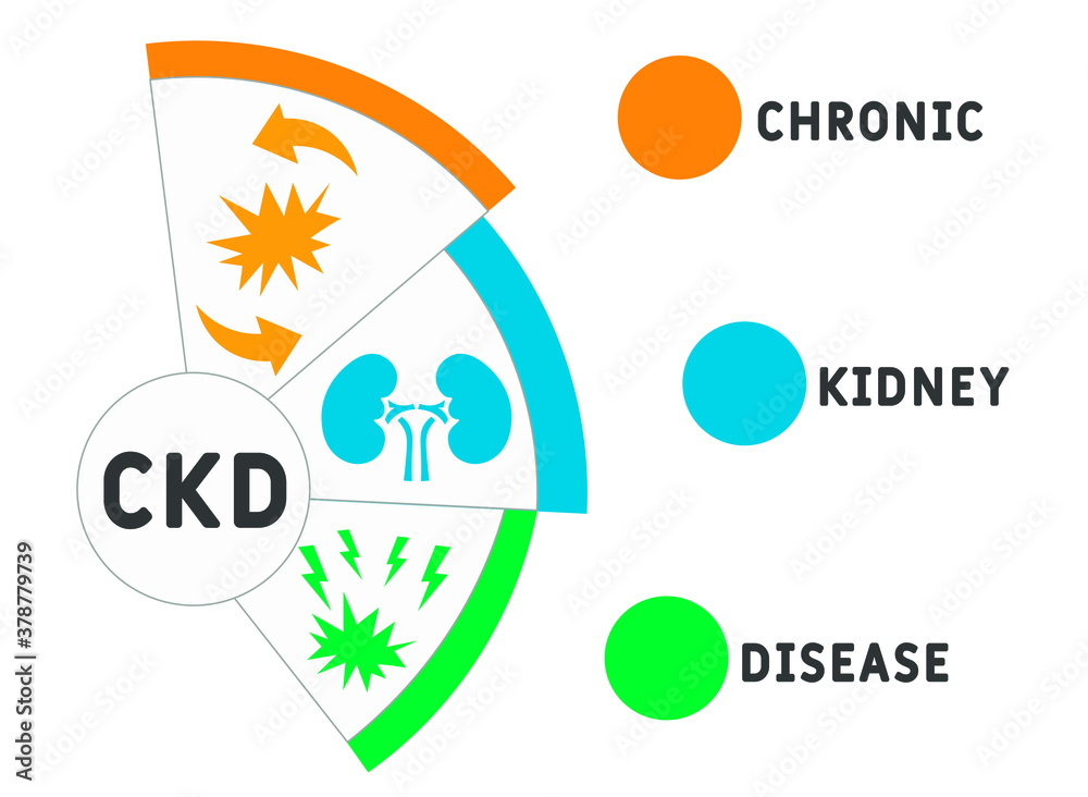CKD - Chronic Kidney Disease acronym, medical concept background. vector illustration concept with keywords and icons. lettering illustration with icons for web banner, flyer, landing page