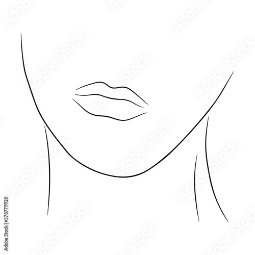 Face contour of a woman. Hand drawn vector illustration in line art style, isolated on a white background.