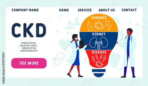 Vector website design template . CKD - Chronic Kidney Disease  acronym, medical concept. illustration for website banner, marketing materials, business presentation, online advertising.