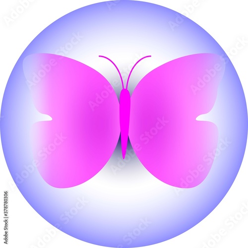 Butterfly blue in color  vector or illustration Art & Illustration