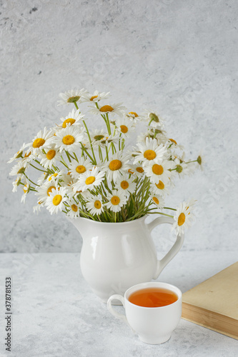 chamomile flowers in a vase
