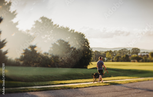 man walking dogs
