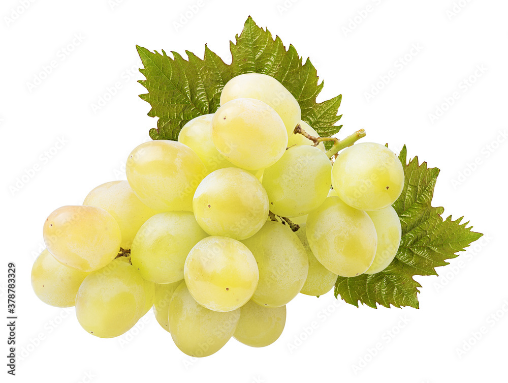 Fresh grapes isolated on white background with clipping pass Fresh grapes isolated on white background with clipping pass