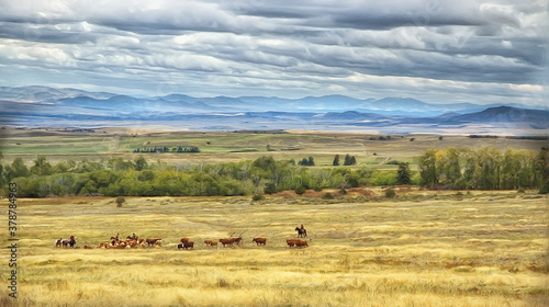 Cattle country Montana,photo art photo