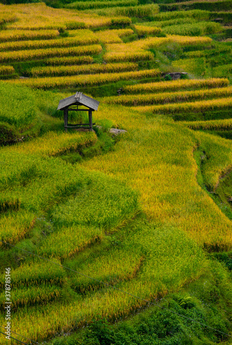 Lodge in terrrace field