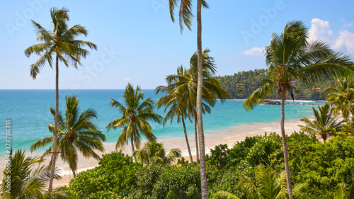Tropical beach with coconut palm trees on a sunny summer day.