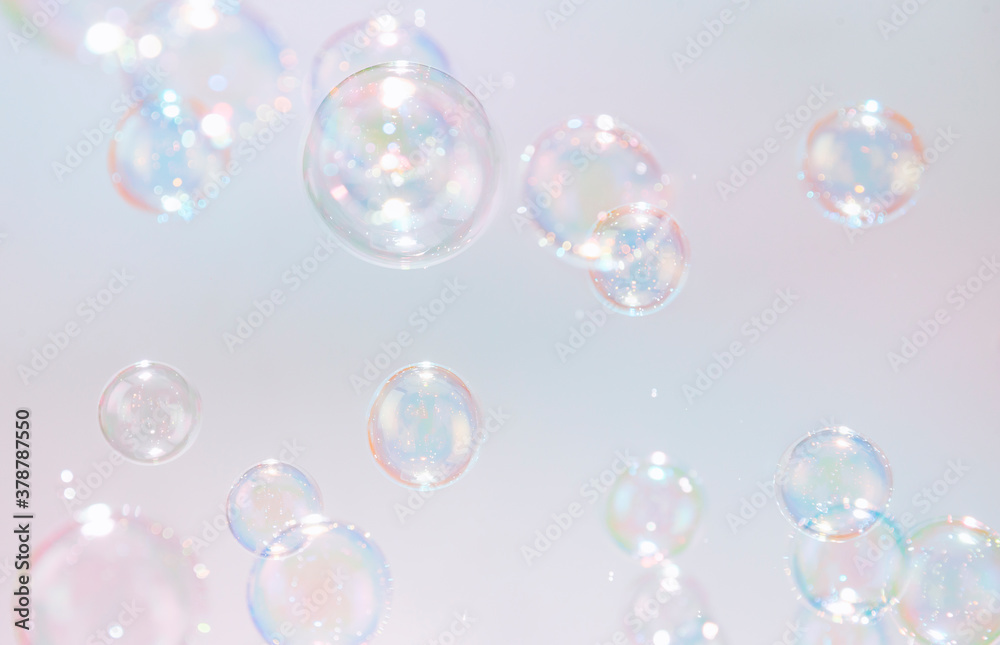 Fototapeta premium Colorful rainbow soap bubbles float in the air.