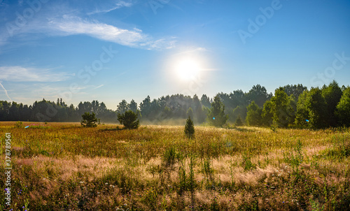 Panorama of a field surrounded by forest  in the background  the sun s rays are manifested in a small clump of fog