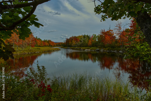 Fall color by stream on Mount Desert Island Maine USA
