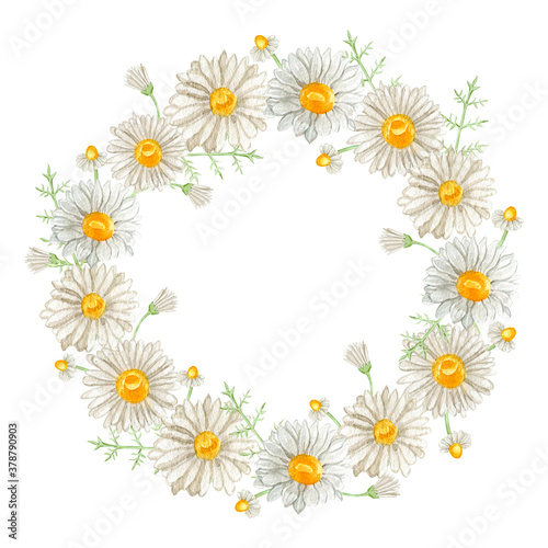 Watercolor floral chamomile wreath