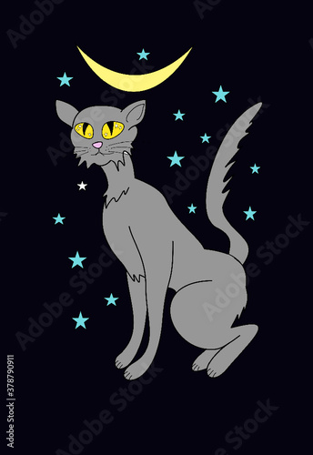Cat with starry sky.
pdf