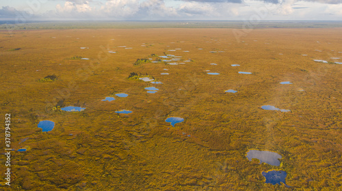 Aerial view of unforested grassland photo