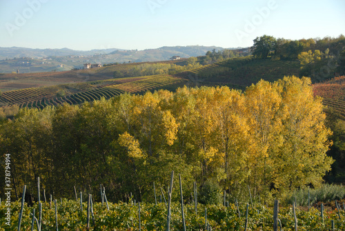 The Langhe of Piedmont is a show of hills, vineyards, farms, castles. In autumn the snow-capped Alps become cornices.