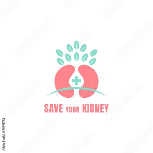 medical kidney logo. Illustration art of a kidney logo with isolated background