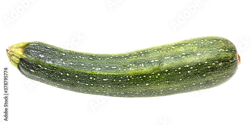 Ripe zucchini isolated on a white background.