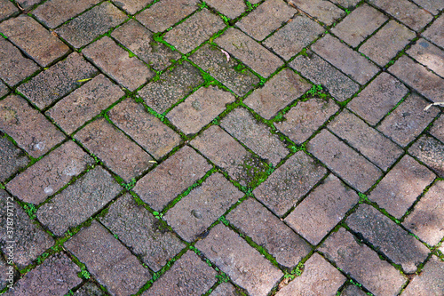 Patterned paving bricks, cement brick floor
