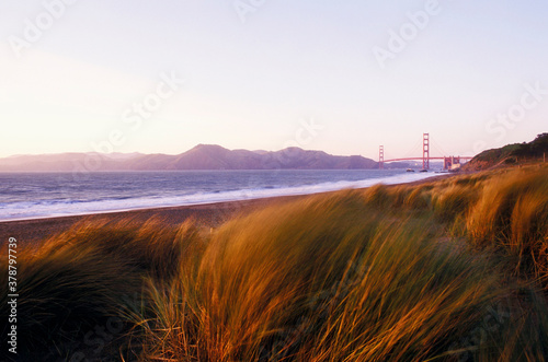 Grass on the beach, Golden Gate Bridge, San Francisco, California, USA 
