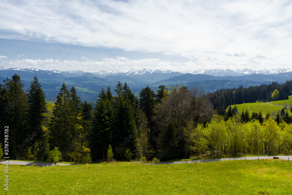 Hiking and walking routes on Pfander mountain, in the Voralberg region of Austria Hiking and walking routes on Pfander mountain, in the Voralberg region of Austria