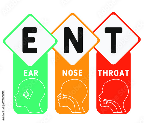 ENT - Ear Nose Throat acronym, medical concept background. vector illustration concept with keywords and icons. lettering illustration with icons for web banner, flyer, landing page