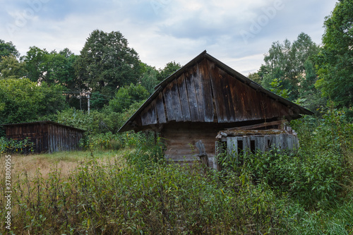 Abandoned old wooden house among the green trees and tall grass. Rural landscape. Evening