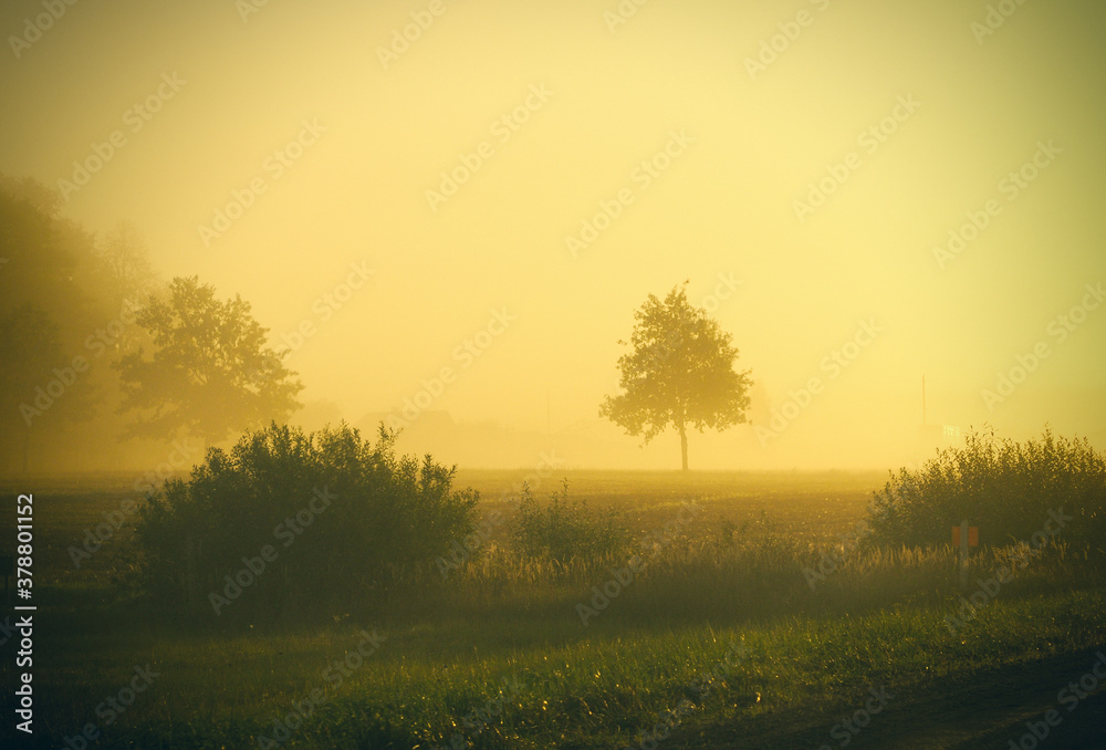 Obraz premium sunrise in the morning