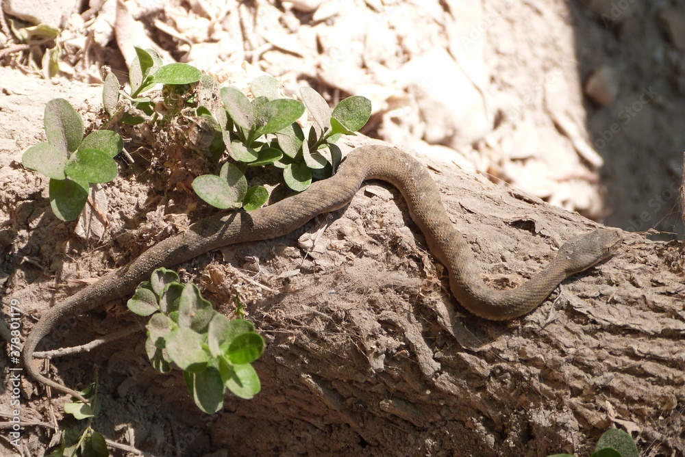Naklejka premium Gorges du Verdon