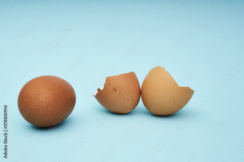 Chicken eggs whole and parts. Half an egg, egg yolk, shell.
