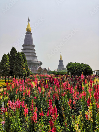 Wat Phra Tat Doi Suthep Temple