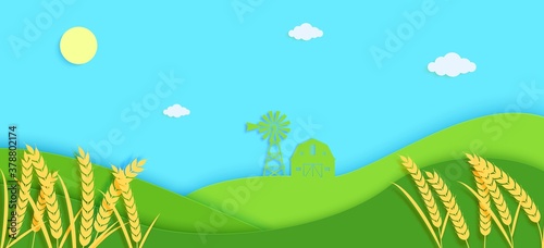 Agriculture field with spikelets of wheat and barn and windmill in papercut style. 3D autumn landscape with green paper cut meadow. Vector illustration of environmental conservation and farm concept