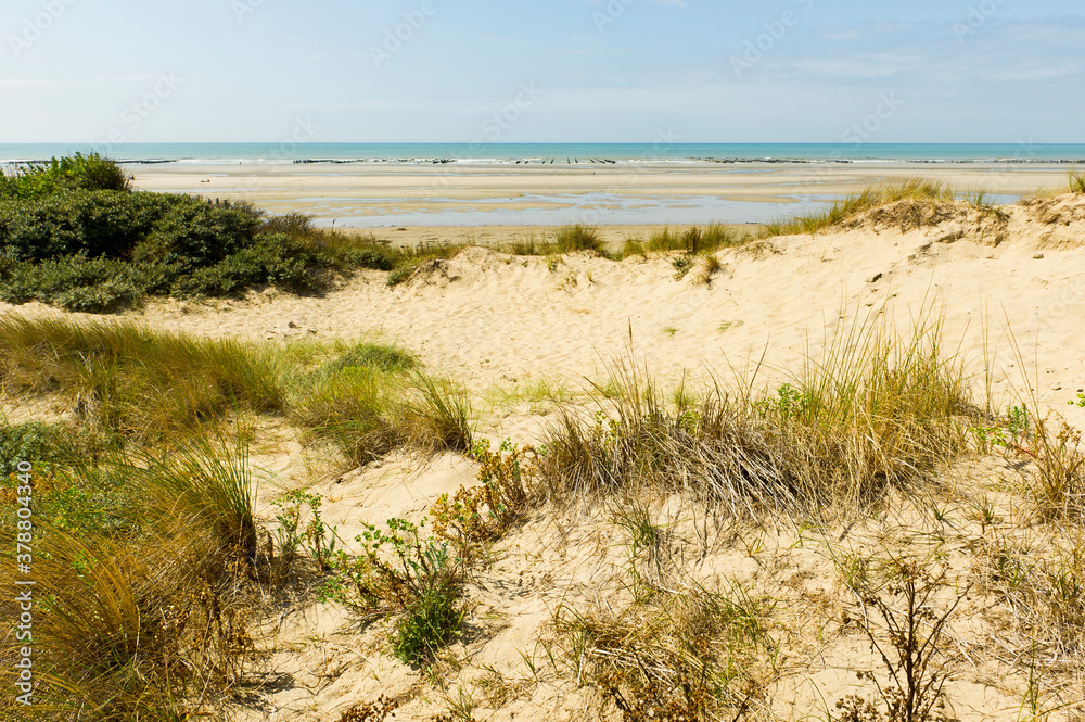 Dunes de Mont St Frieux, Pas-de-Calais, France