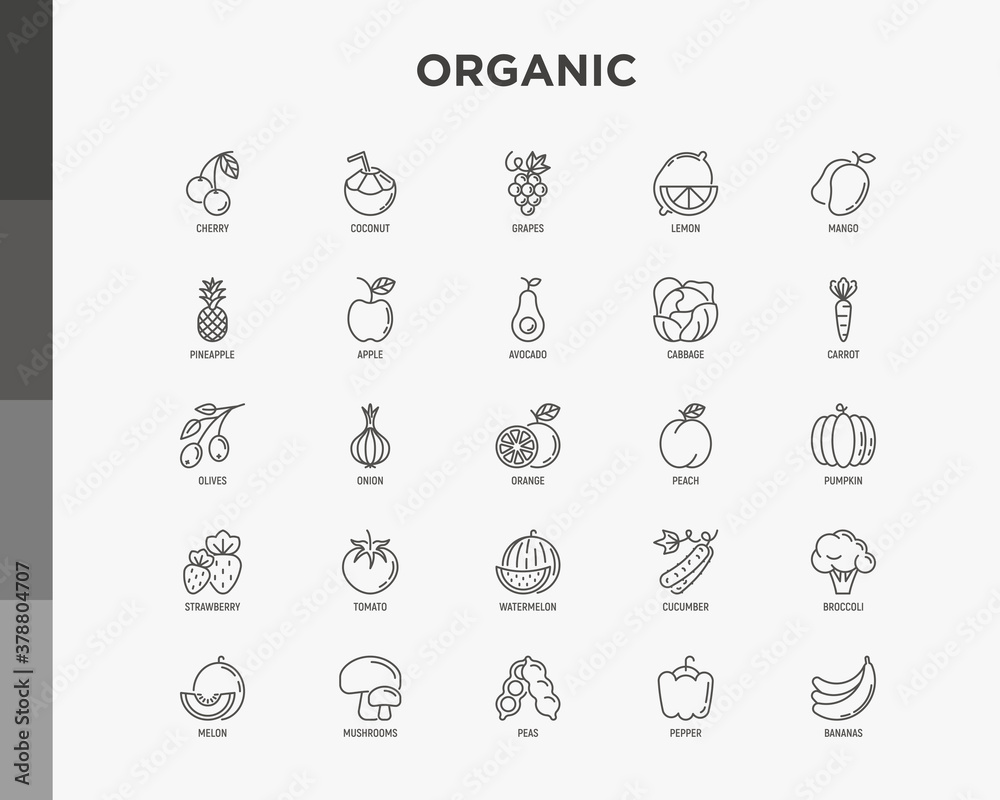 Fruits, vegetables, berries and nuts thin line icons set: pineapple, apple, avocado, cabbage, carrot, cherry, coconut, grapes, tomato, broccoli. Vector illustration. Fruits, vegetables, berries and nuts thin line icons set: pineapple, apple, avocado, cabbage, carrot, cherry, coconut, grapes, tomato, broccoli. Vector illustration.