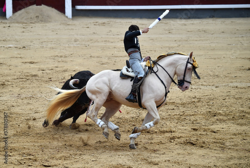 toreo a caballo en españa © alberto